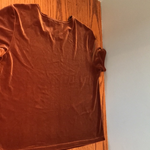 Draper’s & Damon’s medium petite velour short sleeve shirt. Like new condition! - Picture 6 of 7